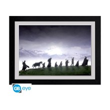 Abysse: The Lord Of The Rings - Fellowship Framed Print (30x40cm) (PFC972)