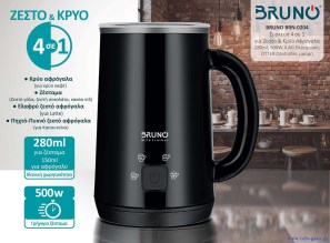 BRN-0204-1