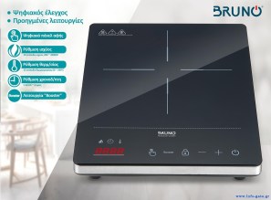 BRN-0205-2