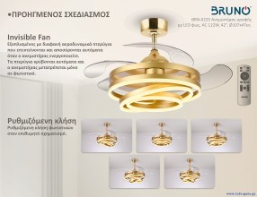 BRN-0225-1