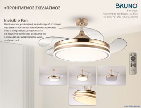 BRN-0226-1