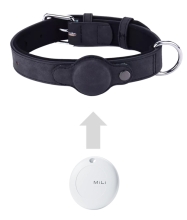 DOGCOLLARBIG-BK-1