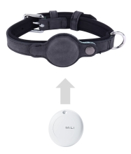 DOGCOLLARSMALL-BK-1