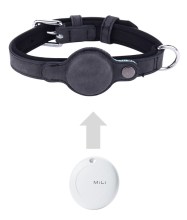 DOGCOLLARSMALL-BK-1