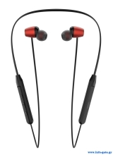 E19-RD