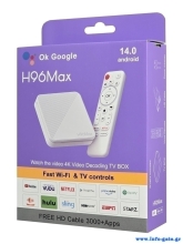 H96MAX-H313-10