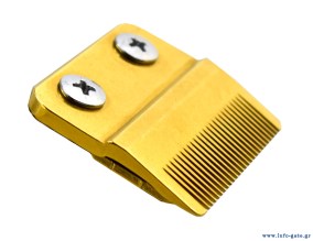 SP-BRN-0222-2