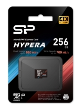 SP256GBSTEI31V10-4
