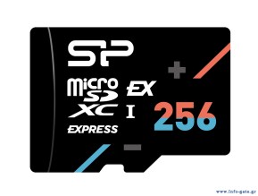 SP256GBSTEI31V10