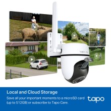 TAPO-C501GW-10