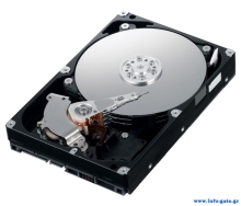 U-HGST320GB25