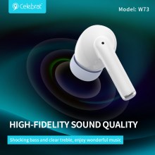W73-BK-2