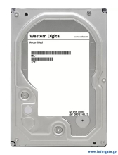 WD84PURZ-FR