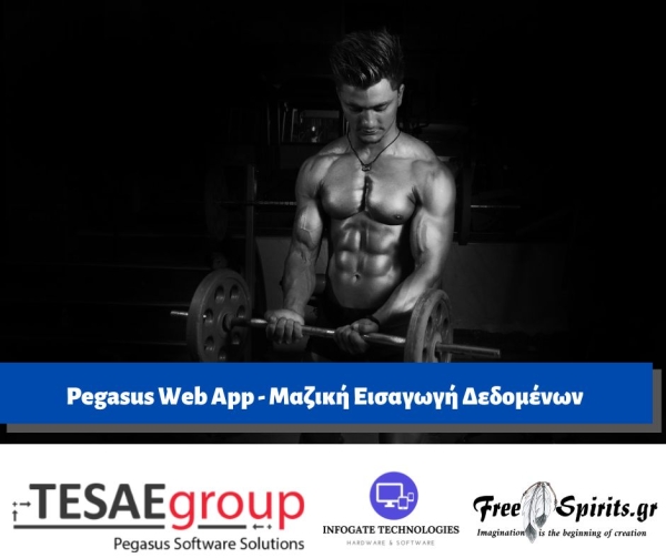 Pegasus Web App - Μαζική Εισαγωγή Δεδομένων