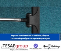 Pegasus Dry Clean ERP: Η απόλυτη λύση για Στεγνοκαθαριστήρια - Ταπητοκαθαριστήρια!